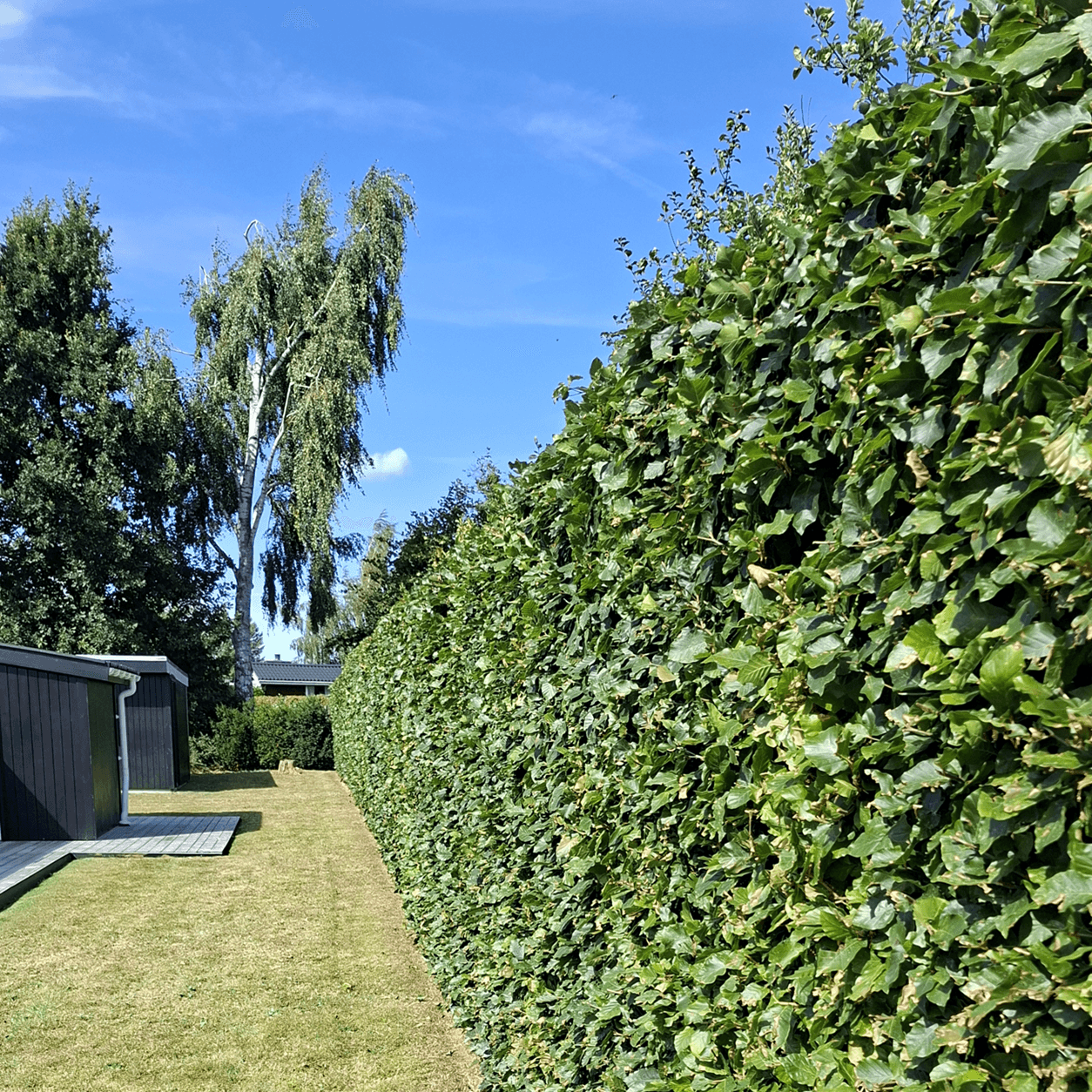 WERKO sommerhus Tisvilde WERKO sommerhus Tisvilde